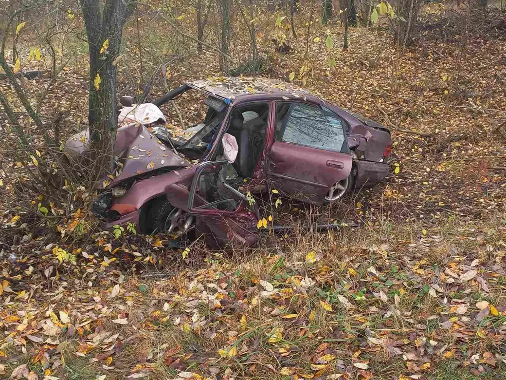 26.10.22г. В Глусском районе нетрезвый водитель врезался в дерево. Фото: УВД Могилевского облисполкома