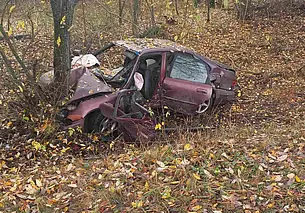 В Глусском районе нетрезвый водитель врезался в дерево. Фотофакт