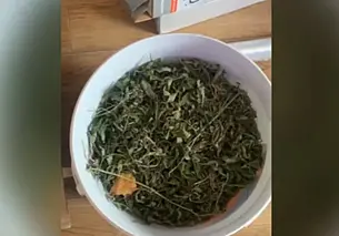 В Бобруйске задержали покупателя марихуаны, а потом и продавца