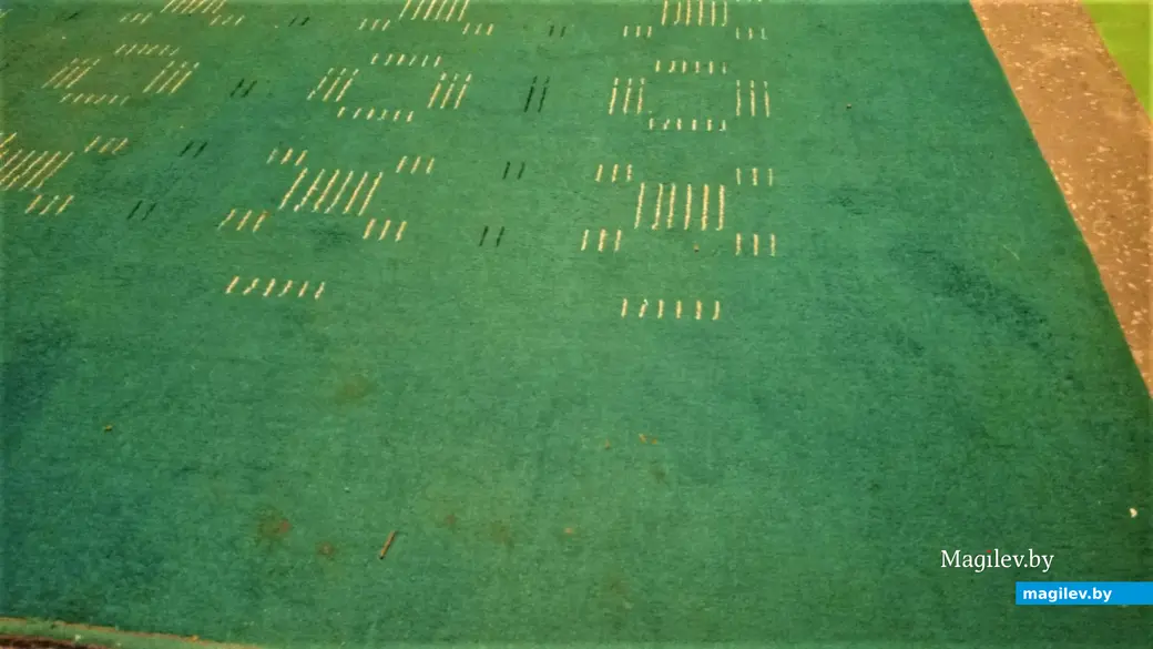 Этот палас из далекого 1971 года и по сей день верно служит нашей героине и ее соседям по подъезду. Могилев, 2022 год.