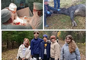 Пять только хороших новостей за эту неделю, которые вы могли пропустить