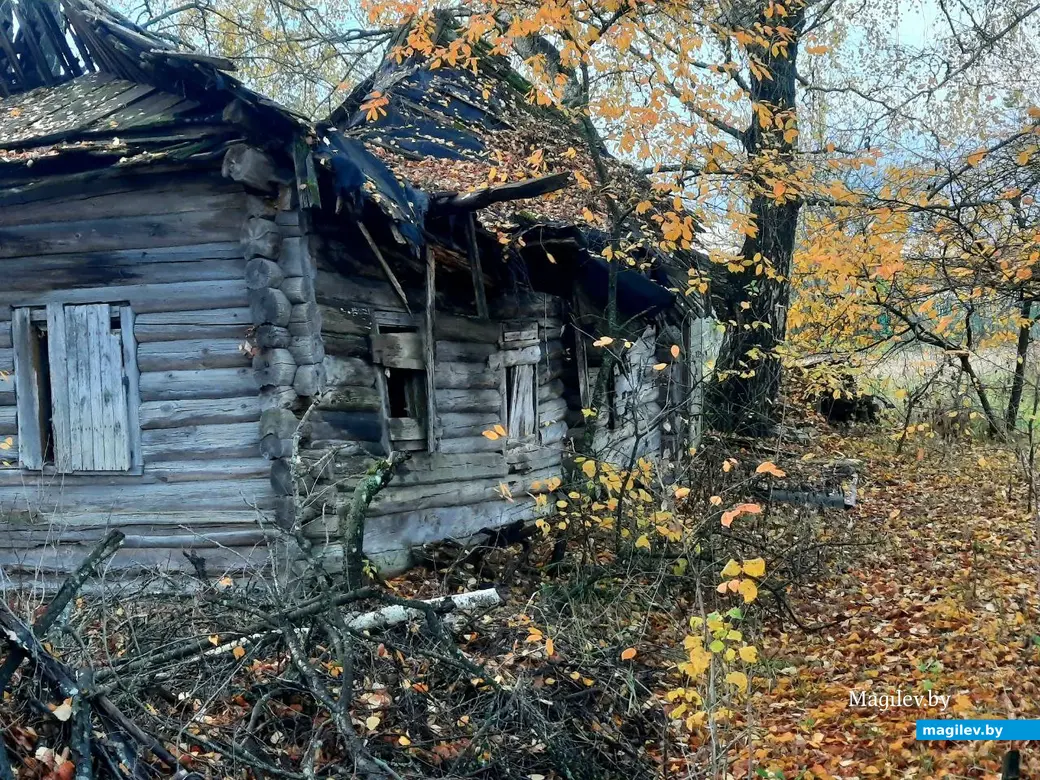 Старый лом на окраине Брожи.