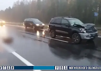 На трассе «Минск-Гомель» в Осиповичском районе погиб пешеход