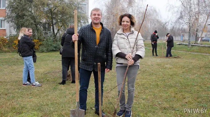 Агрогородок Полыковичи, 29 октября 2022 года. Молодые специалисты Могилевского района высаживают «Молодежную» аллею. Фото: «Прыдняпроўская ніва».