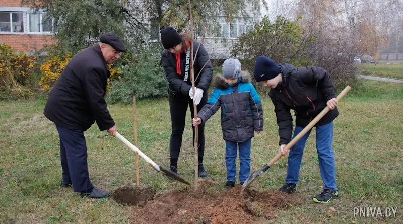 Агрогородок Полыковичи, 29 октября 2022 года. Фото: «Прыдняпроўская ніва».