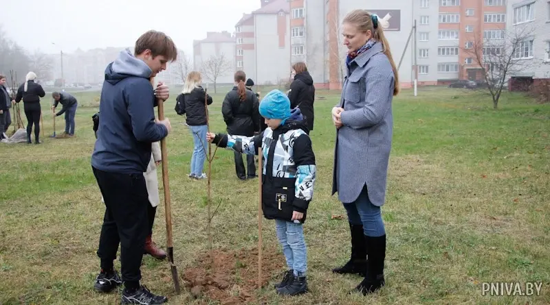Агрогородок Полыковичи, 29 октября 2022 года. Фото: «Прыдняпроўская ніва».