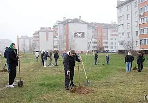 «Молодежную» аллею заложили в Могилевском районе. Фотофакт