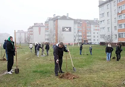 «Молодежную» аллею заложили в Могилевском районе. Фотофакт