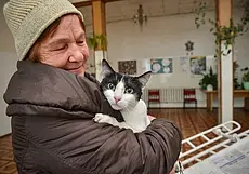 Чипирование, стерилизация... Какие процедуры проводят для питомцев в горветстанции и сколько это стоит
