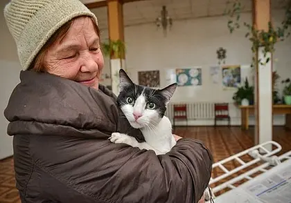 Чипирование, стерилизация