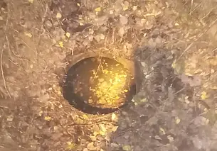 Дедушка с внуком провалились в лесу в колодец с водой