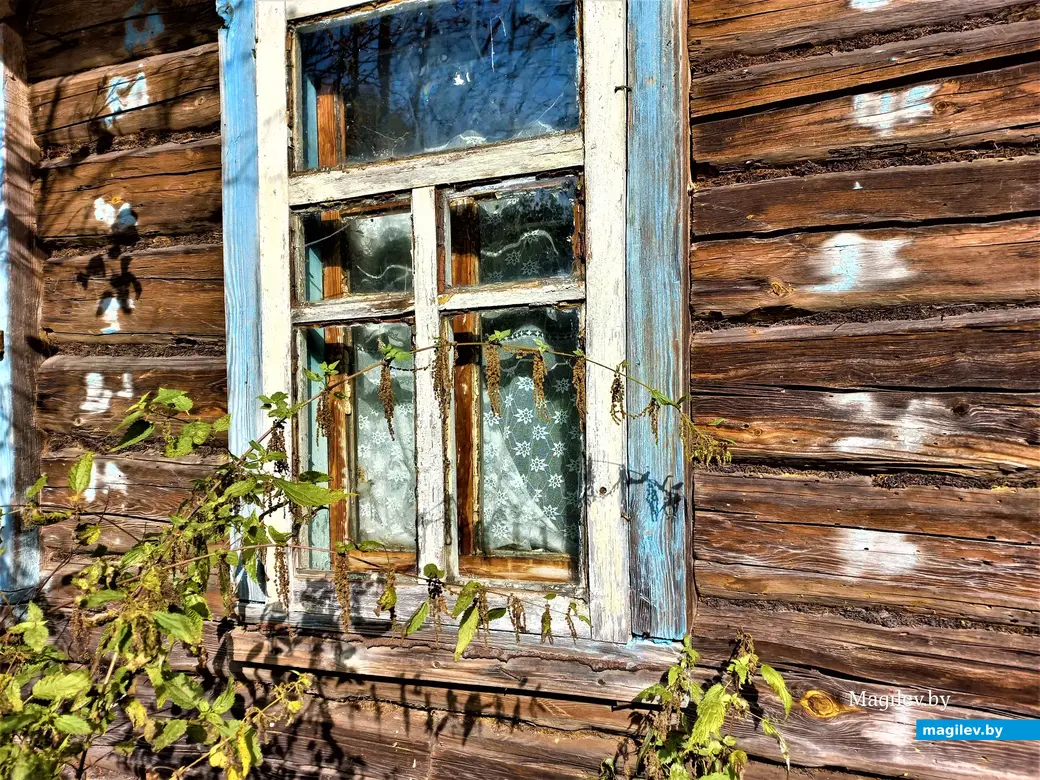 Деревня Павлинка Белыничского района, октябрь, 2022 года.