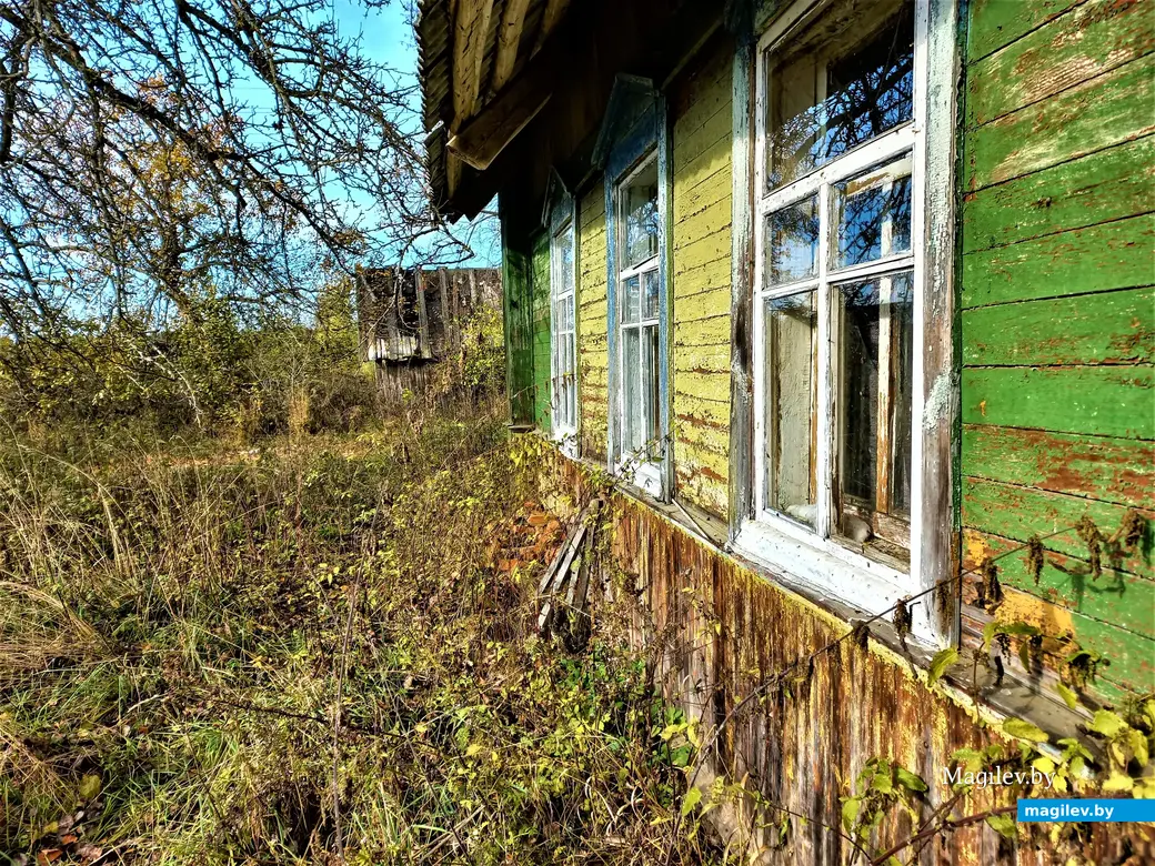 Деревня Павлинка Белыничского района, октябрь, 2022 года.