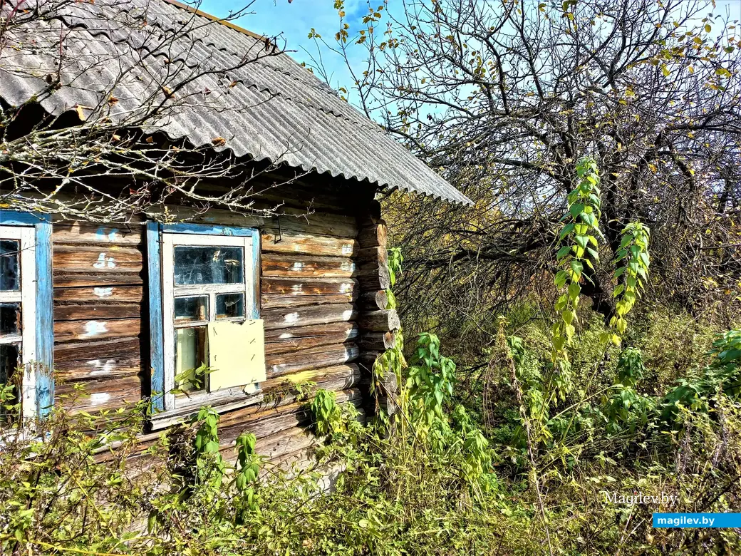 Деревня Павлинка Белыничского района, октябрь, 2022 года.