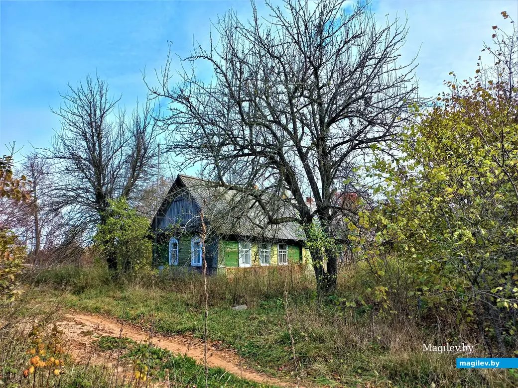 Деревня Павлинка Белыничского района, октябрь, 2022 года.