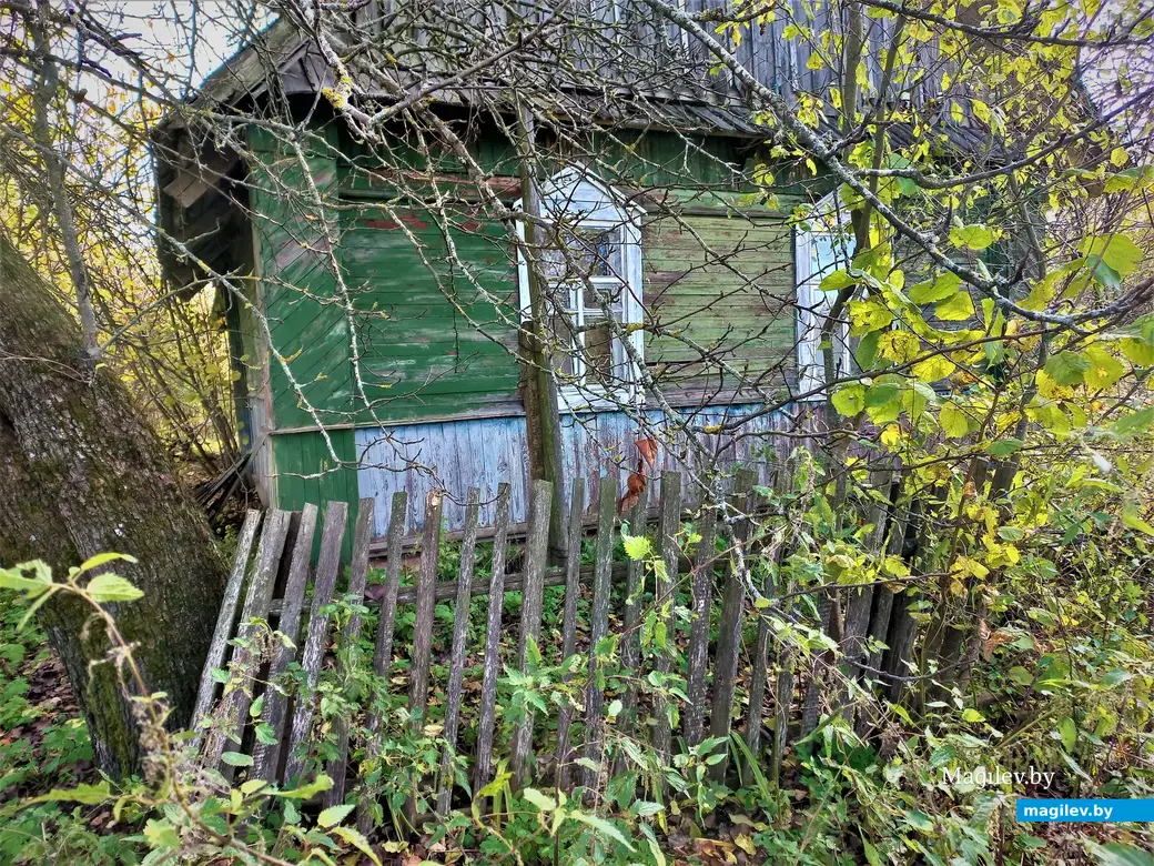 Деревня Павлинка Белыничского района, октябрь, 2022 года.