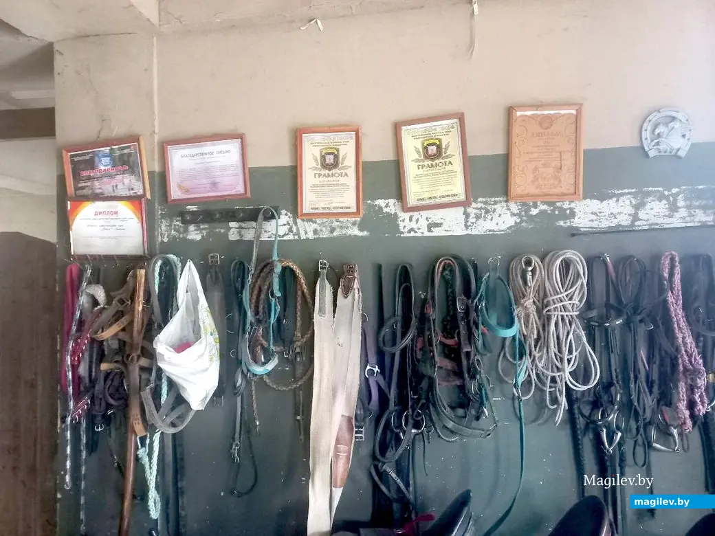 22.10.2022, Бобруйск, конно-трюковой театр «Есаул».