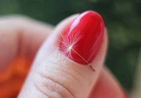 Пять секретов маникюра на короткие ногти. Советы бобруйского бьюти-мастера