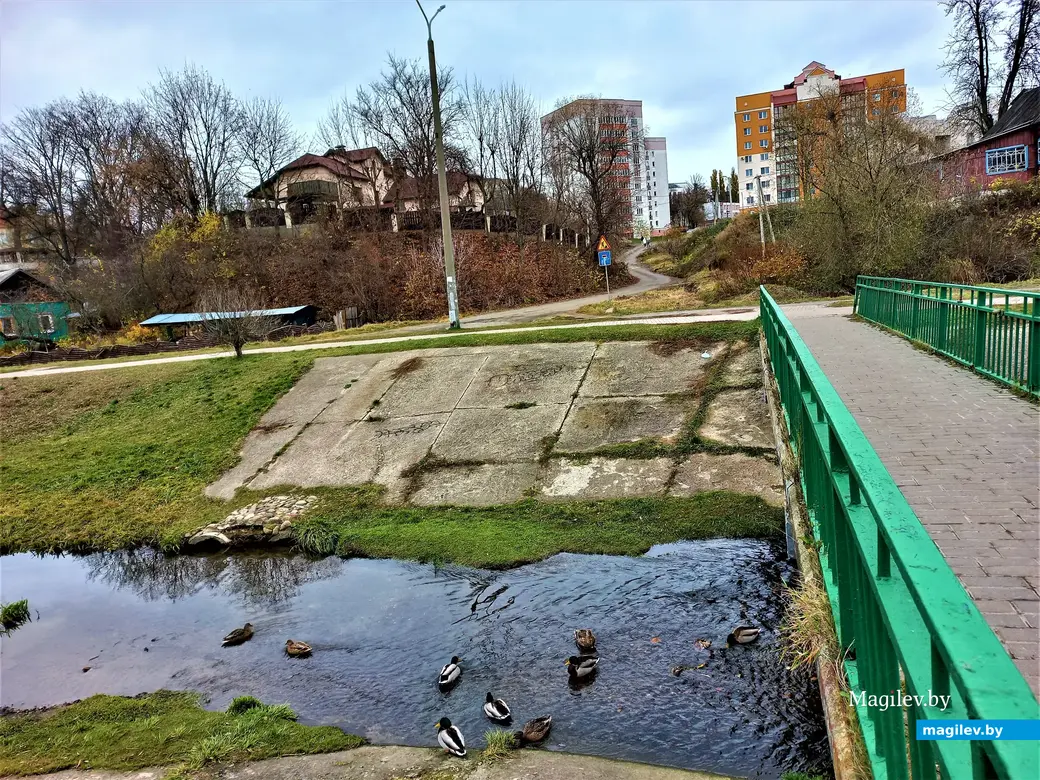 Улица Чехова змейкой извивается на горизонте. Дубровенка, 04.11.2022 года.