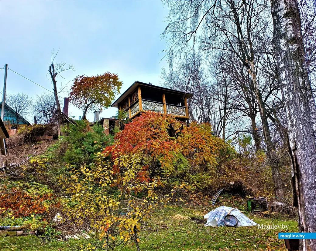 Дубровенка, 04.11.2022 года.