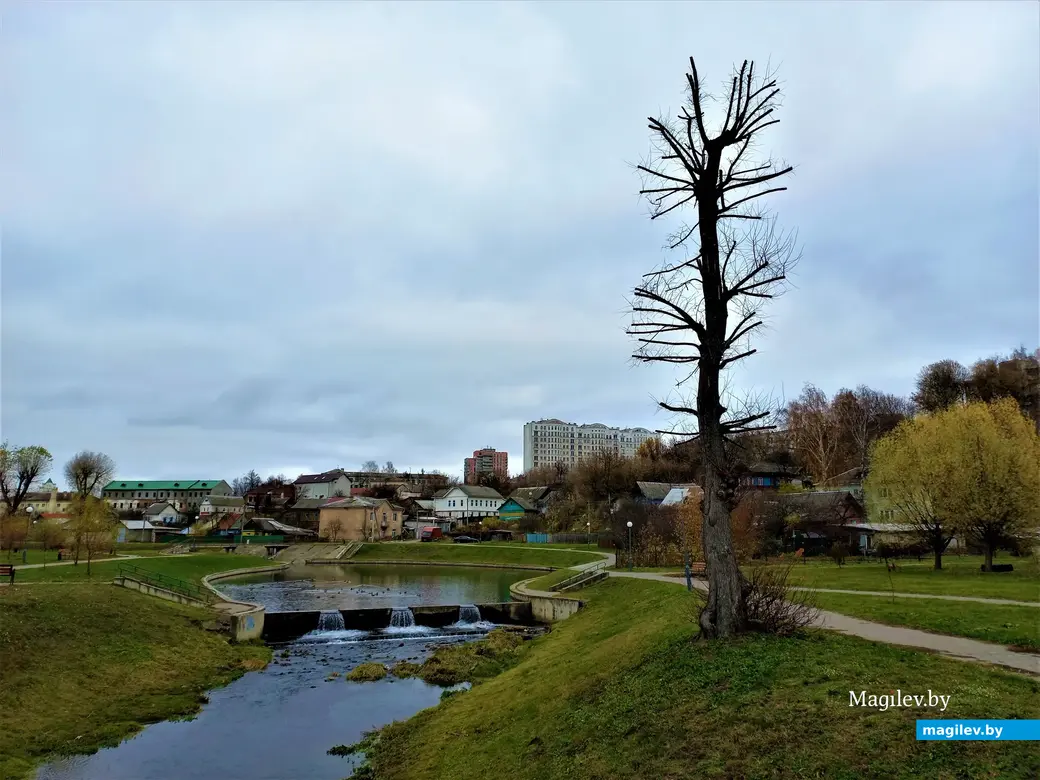 Дубровенка, 04.11.2022 года.