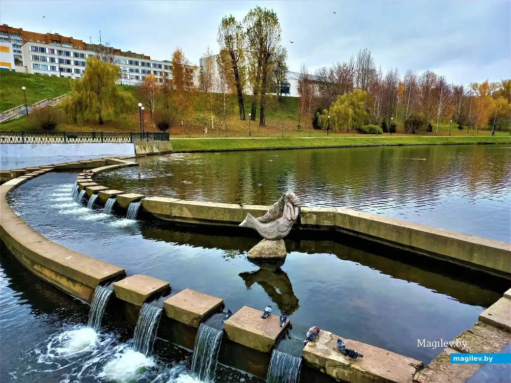Дубровенка, 04.11.2022 года.