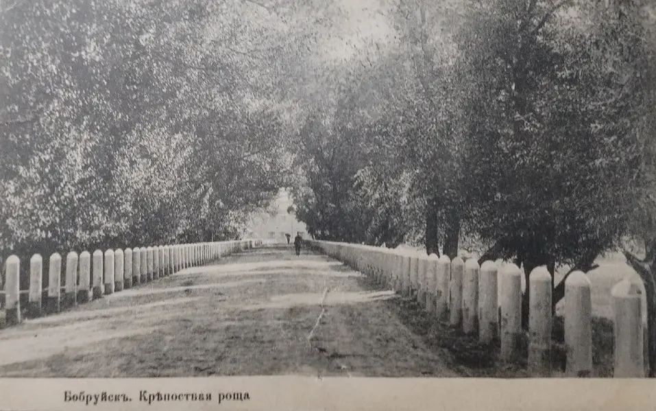 Iдэнтычны здымак з таго ж ракурсу, але падпісаны па іншаму – «Крэпасны гай».