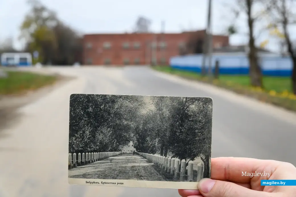 28.10.2022. Бобруйск. Исторический снимок Крепостной рощи в Бобруйске (нынешняя улица Ермака)