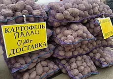 Картофель, морковь, мед липовый, яблочное варенье: подборка бесплатных объявлений