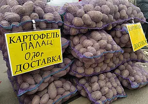 Картофель, морковь, мед липовый, яблочное варенье: подборка бесплатных объявлений