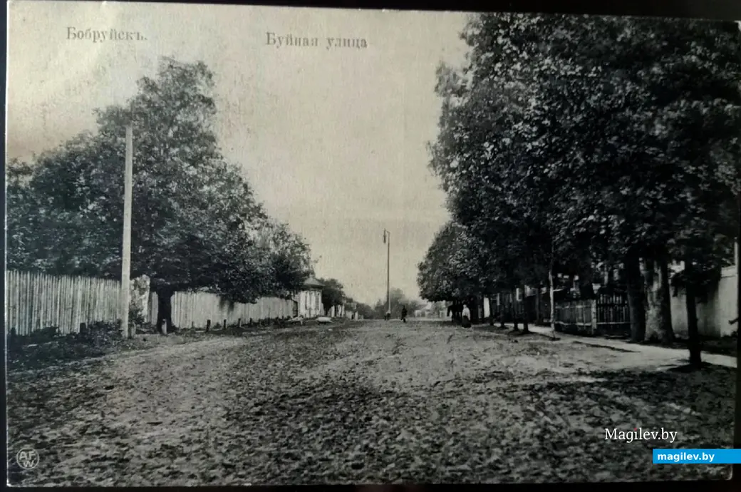 Бабруйскі дуб-волат напачатку XX стагоддзя ня тагачаснай Буйной вуліцы. Паштоўка з калекцыі Віталя Мурашкевіча.