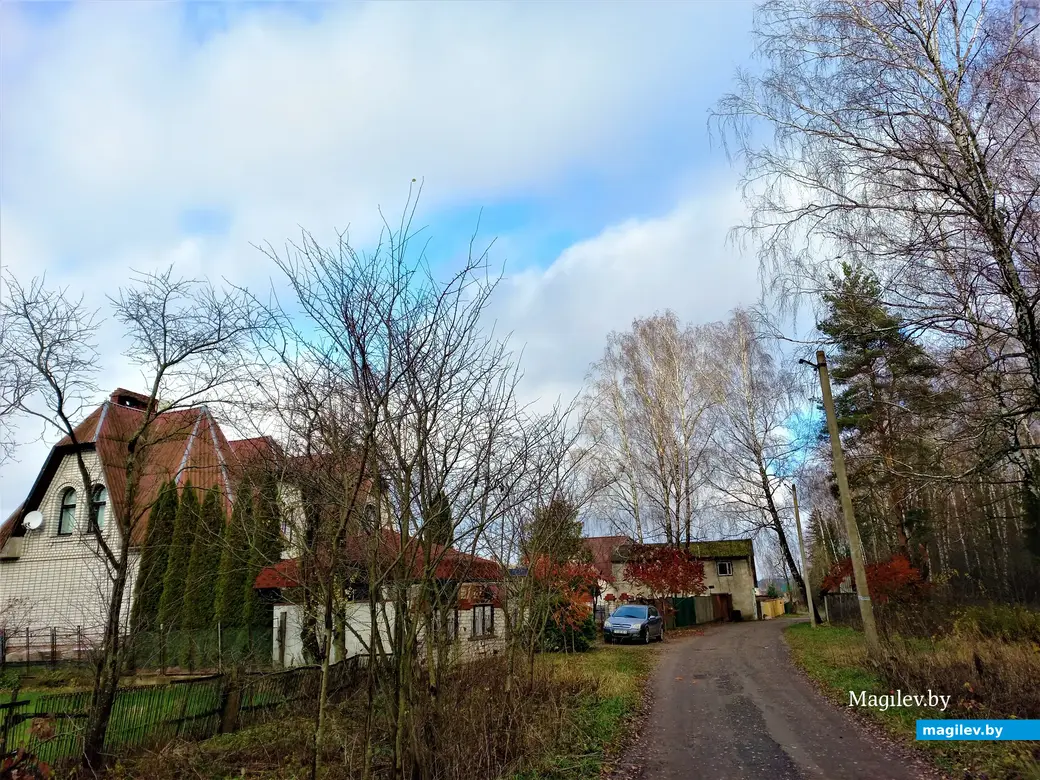 Могилев, Казимировка, 08.11.2022 года.