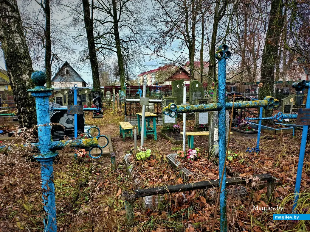 Могилев, Казимировка, 08.11.2022 года.