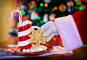 Резиденция Деда Мороза откроется в эколого-биологическом центре Могилева