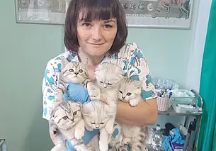 «Подобрала на улице щенка. Что теперь делать?» Отвечает ветеринарный врач