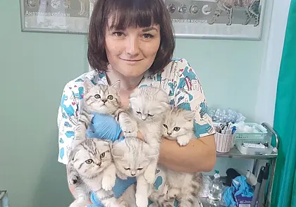 «Подобрала на улице щенка. Что теперь делать?» Отвечает ветеринарный врач