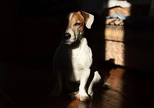 Куда сходить в Могилеве в ближайшие выходные: наш гид