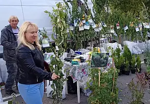 «Ассортимент будет скромный»