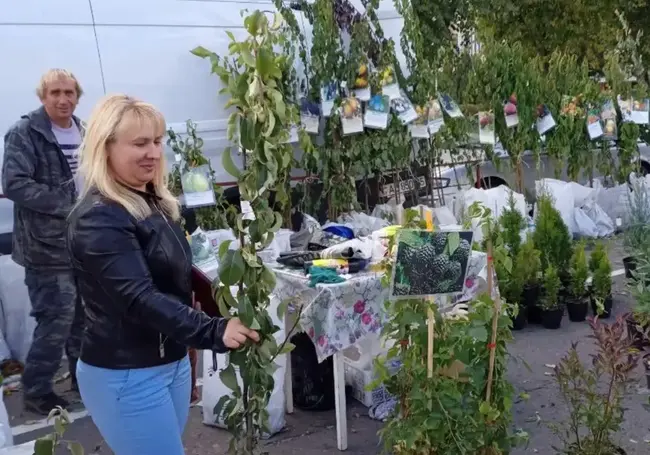 «Ассортимент будет скромный». 12 и 13 ноября в Бобруйске пройдут последние сельскохозяйственные ярмарки в этом году