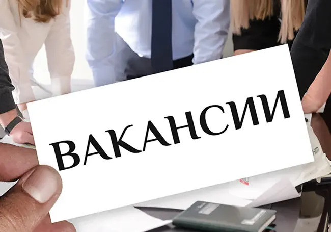 ТОП-10 вакансий с зарплатой более 1000 рублей для специалистов с высшим образованием  в Могилеве