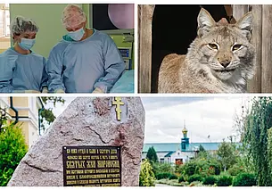 Пять только хороших новостей за эту неделю, которые вы могли пропустить