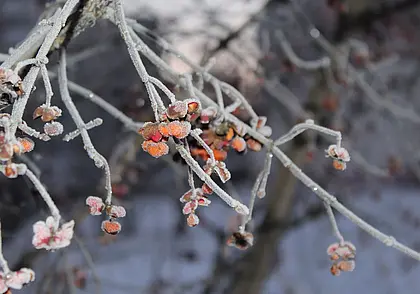 Облачно, с прояснениями: прогноз погоды на 17 -19 февраля