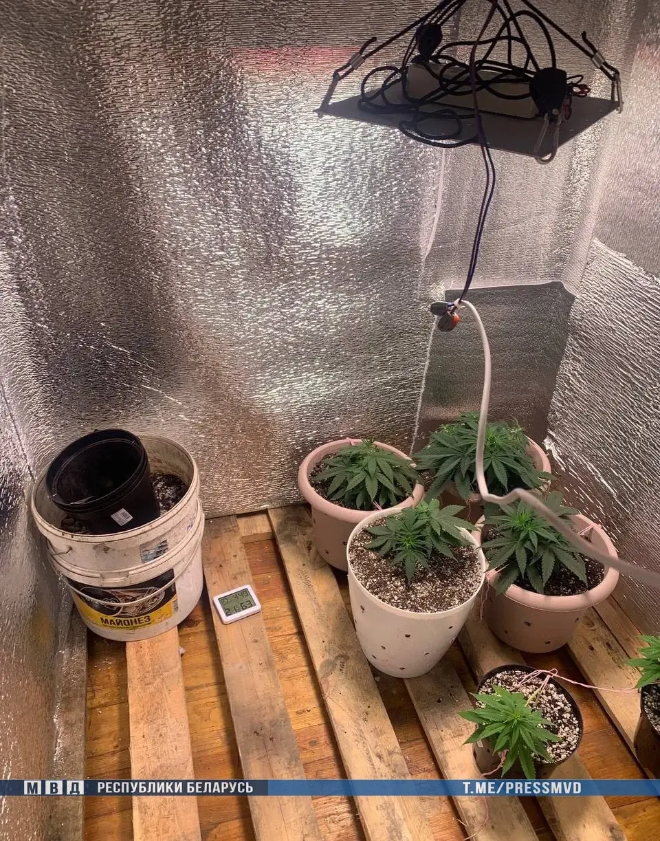 14.11. 2022г. В Бобруйске ликвидирована нарколаборатория. Фото: МВД