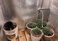 В Бобруйске ликвидирована нарколаборатория