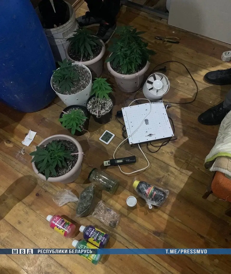 14.11. 2022г. В Бобруйске ликвидирована нарколаборатория. Фото: МВД