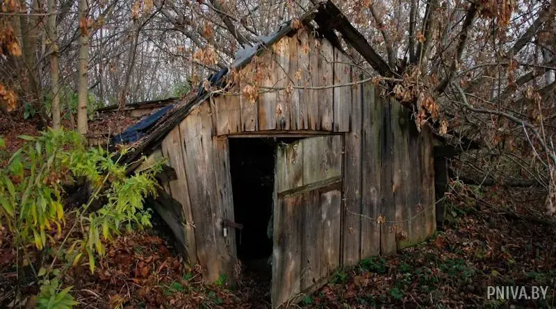 Усадьба Жуковских в агрогородке Дашковка. Семейный склеп. Фото: pniva.by