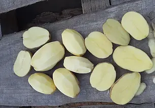 Где запастись картошкой на зиму в Бобруйске: подборка объявлений