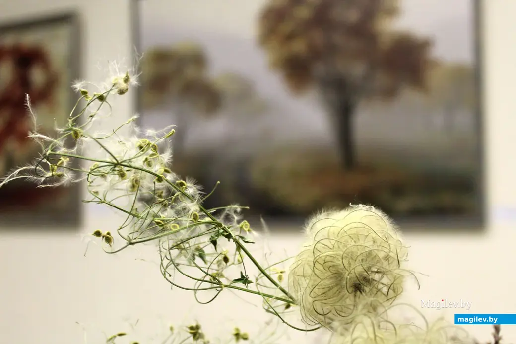 Арт-проект «Клумбавосень» Марины Нестерук. Выставочный зал, Могилев 16 ноября.