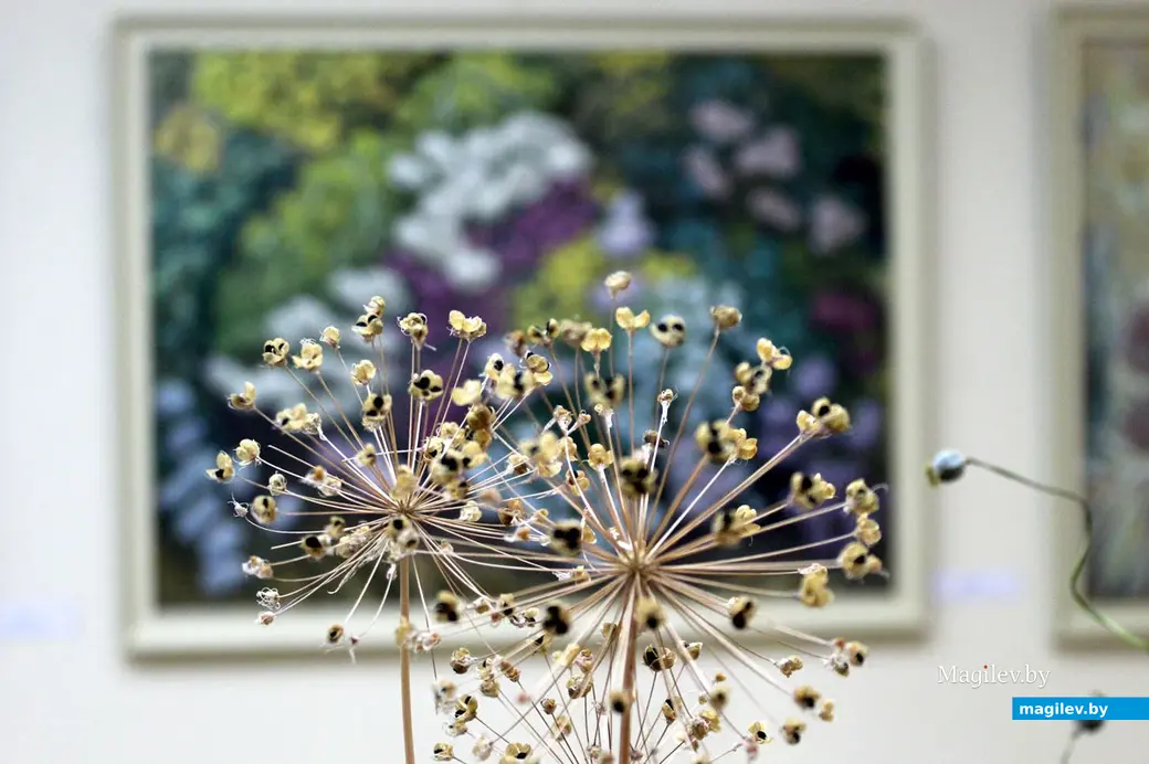 Арт-проект «Клумбавосень» Марины Нестерук. Выставочный зал, Могилев 16 ноября.