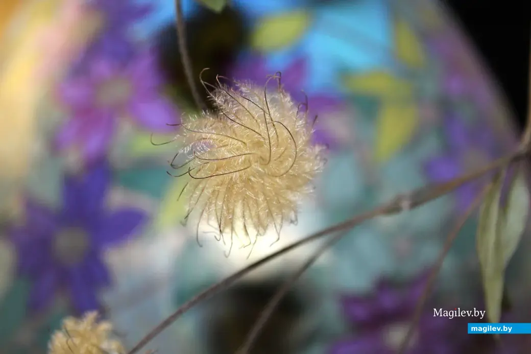 Арт-проект «Клумбавосень» Марины Нестерук. Выставочный зал, Могилев 16 ноября.